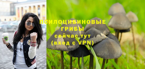 PSILOCYBIN Уссурийск