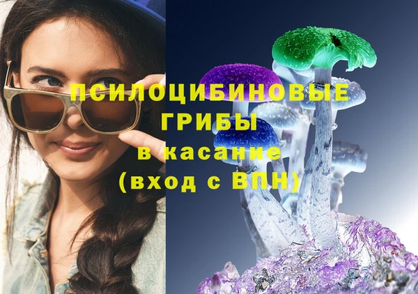 spice Артём