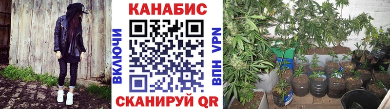 Конопля VHQ  где найти   Чкаловск 